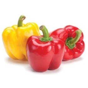 PEPERONI MISTI FRESCHI